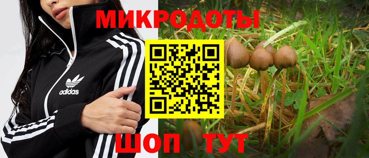 наркотики  Галлюциногенные грибы ЛСД  Вход с VPN  Кострома 