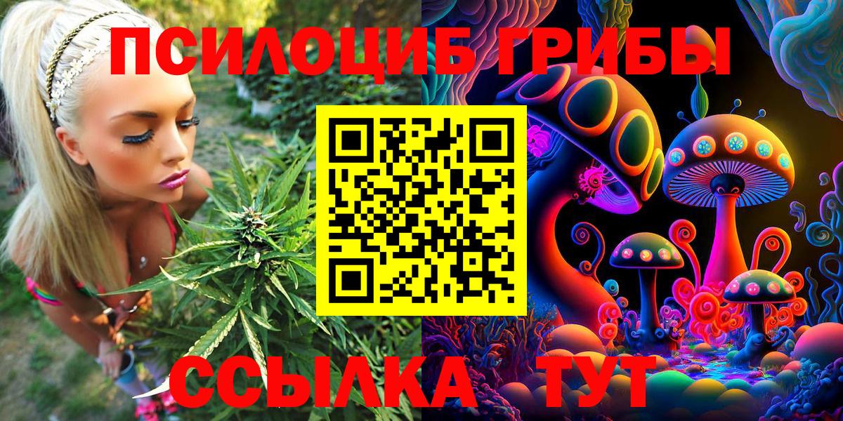 Галлюциногенные грибы Psilocybe Кострома